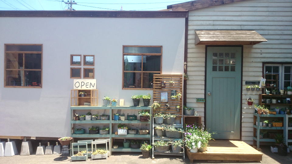 家具と雑貨と多肉のお店 okamoku